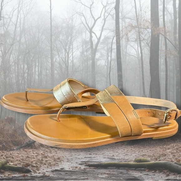 Cole Haan ‘Ainsley Grand T-Strap Sandals’ in Tan & Gold Metallic Leather Size 7 - Picture 8 of 16